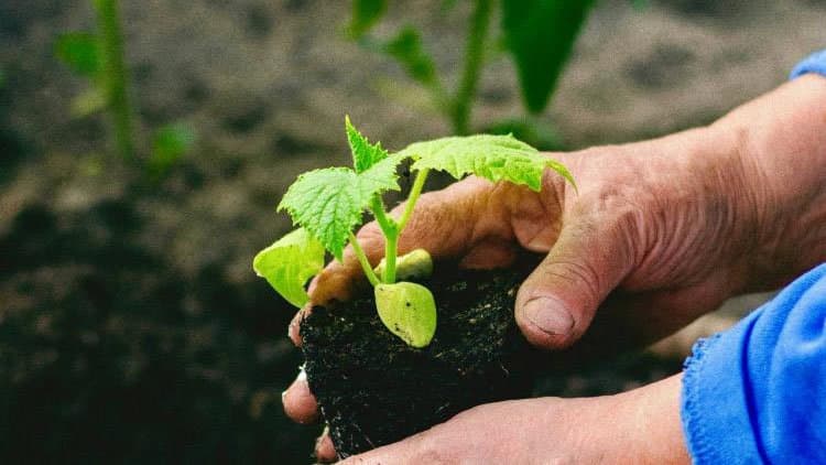 Nasce l’Agri-Nido: a Cassano un nuovo modello di welfare che unisce lavoro, famiglie e territorio