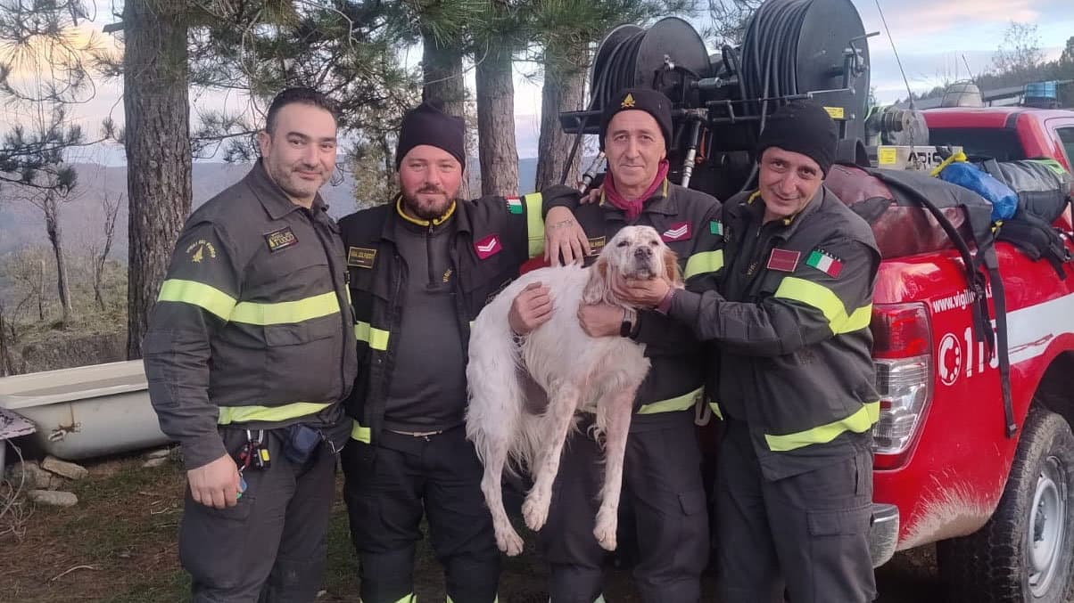 Cane precipita nel burrone, salvato dai Vigili del Fuoco