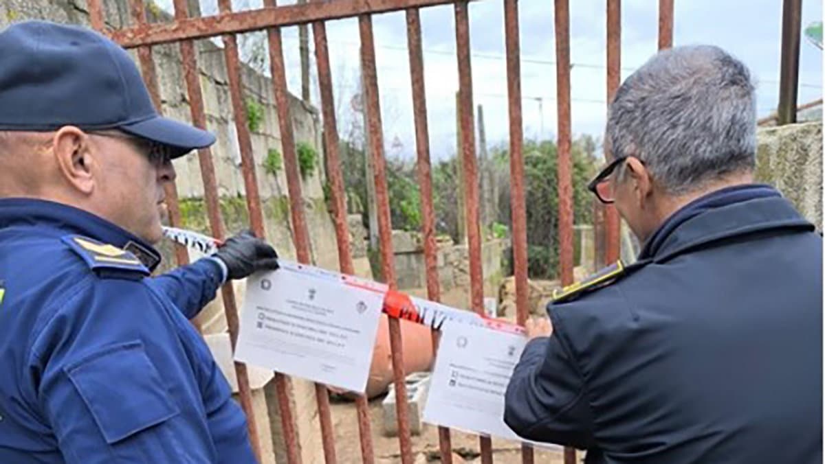Maltrattamento animali a Co-Ro, sequestrati 7 cani e 60 gatti: un indagato