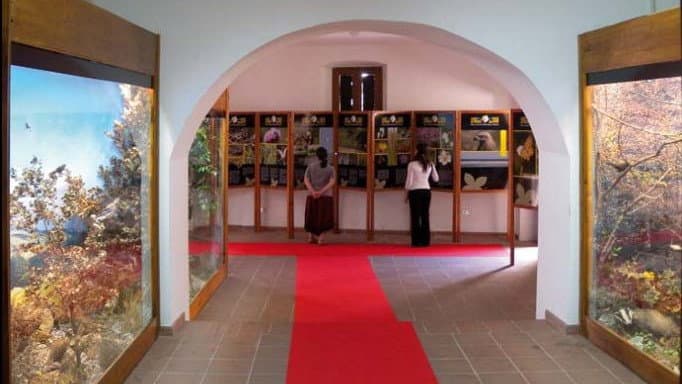 Oggi a Tarsia Musei Experience: un evento per vivere la cultura con tutti i sensi