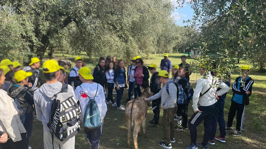 Terranostra Campagna Amica Coldiretti, Abbruzzese sostiene la proposta dell'ora di "educazione agroalimentare"