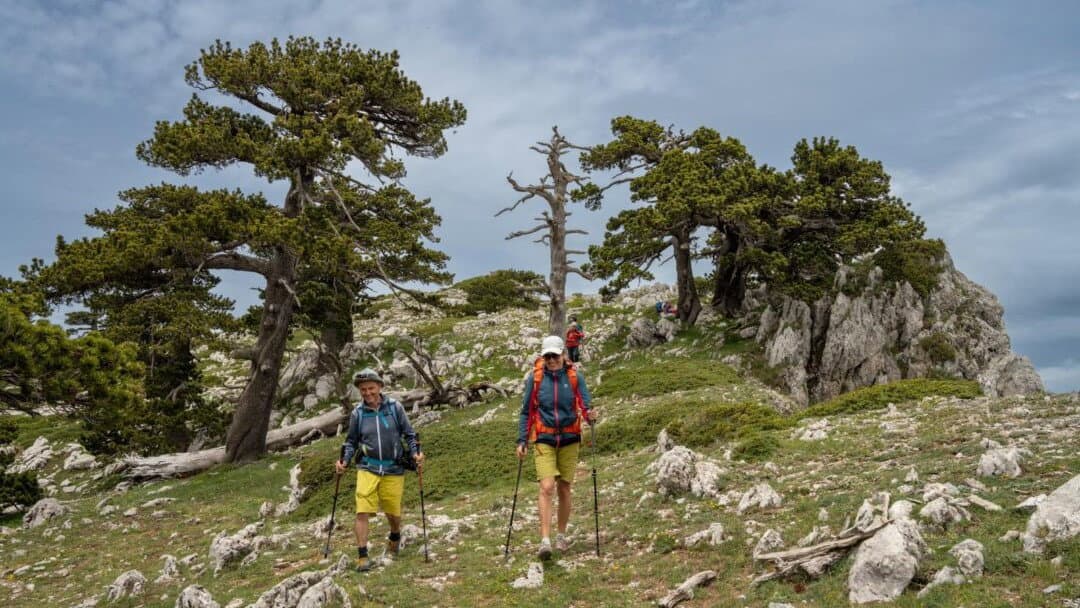 Parco del Pollino: nuovi interventi su infrastrutture verdi, mobilità e valorizzazione dell'ex ferrovia calabro-lucana