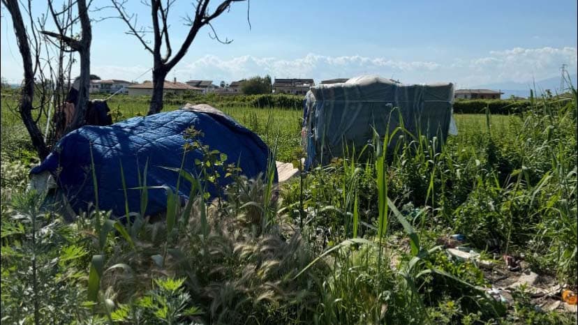 Dal mito di Rosarno ai fatti di Corigliano-Rossano, Alboresi: «I dati smontano la propaganda»