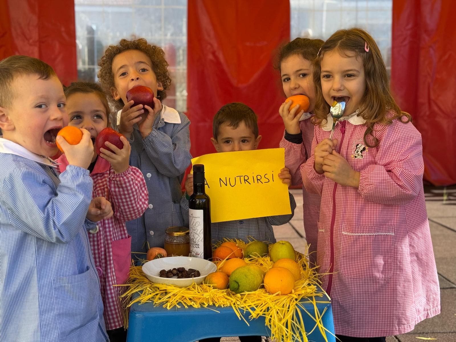 Corigliano-Rossano, Giornata dei Diritti dei Bambini: Magnolia rilancia l’educazione ai diritti