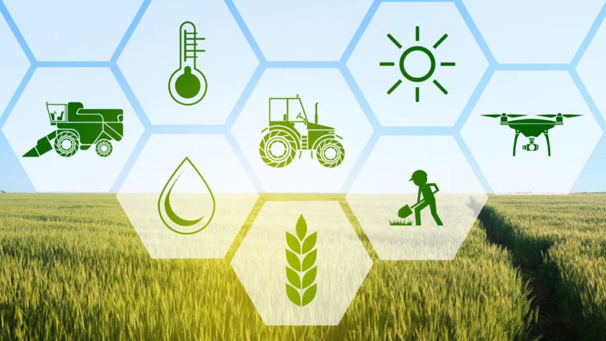 Costituita la Sezione territoriale della Rete del Lavoro Agricolo di Qualità in provincia di Cosenza