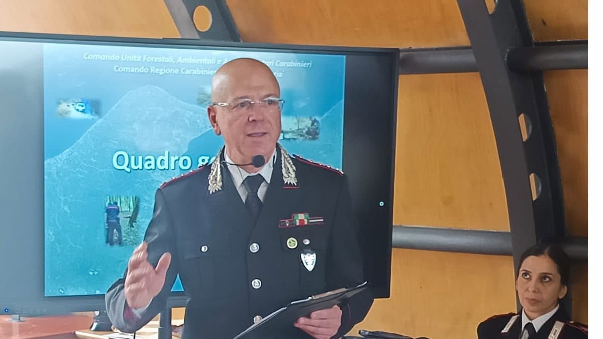Carabinieri Forestale Calabria: incendi, rifiuti e fauna protetta al centro del bilancio operativo 2025