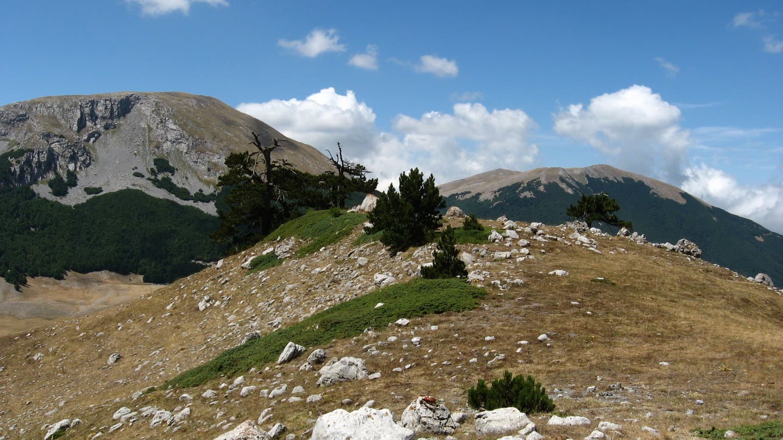 Parco del Pollino, confermato “Visit Pollino” nel 2026: più promozione e prezzi agevolati per il turismo esperienziale
