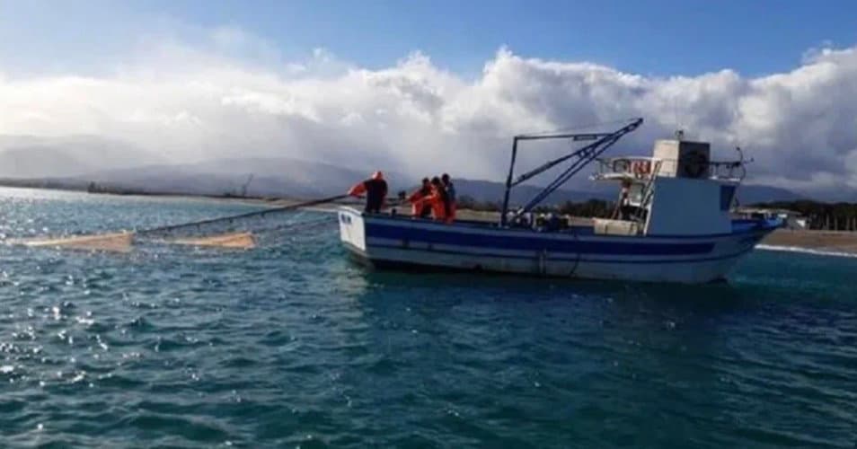 Pesca della sardella, tra speranze tradite e crisi senza risposte
