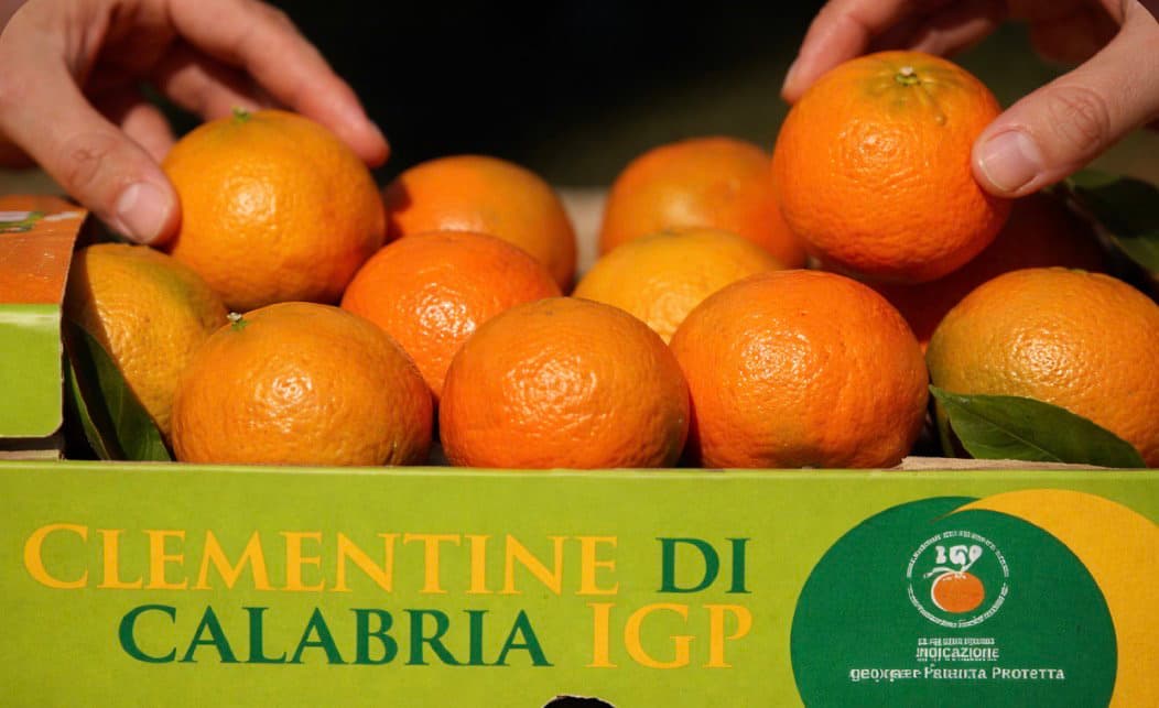 Agrumi esteri con residui vietati, l’allarme: «Serve parità di regole e controlli più rigidi»