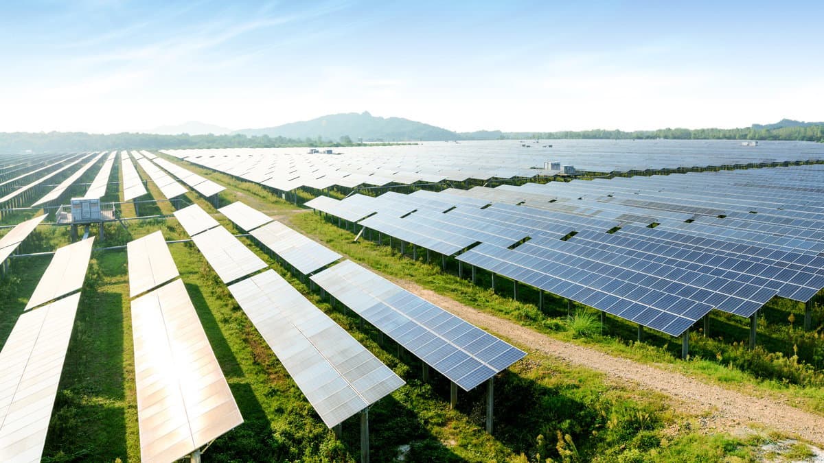 Corigliano-Rossano, Omnia e Agrisolare: casi concreti di risparmio energetico e riduzione di anidride carbonica