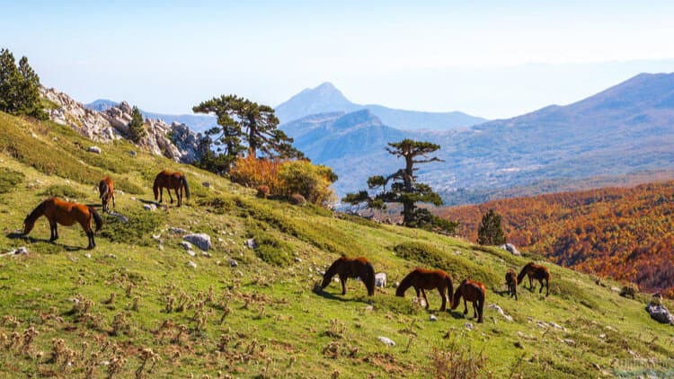 Parco Nazionale del Pollino, il Piano entra ufficialmente in vigore
