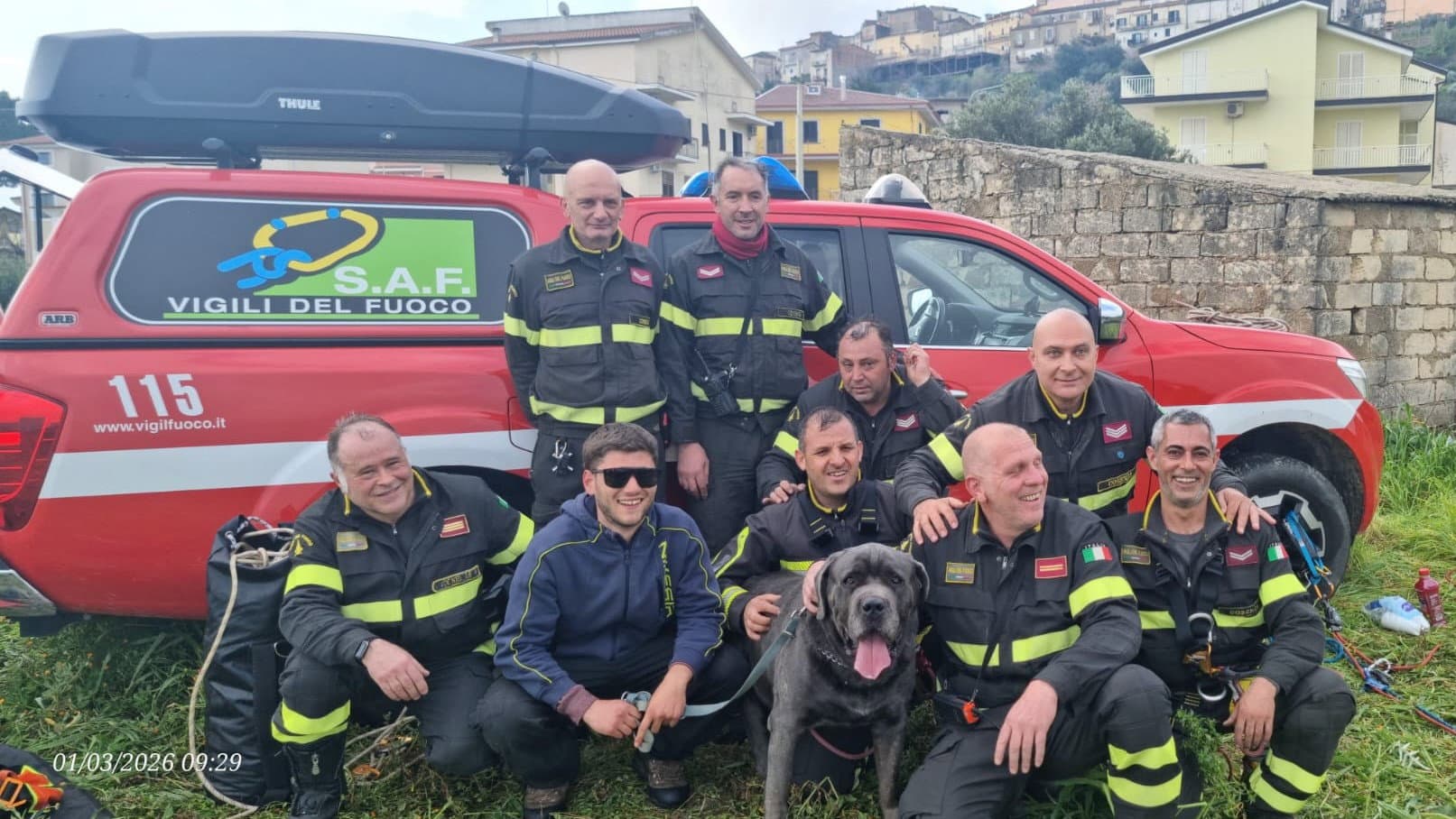 Cane Corso precipita in una scarpata a Terranova da Sibari: salvato dai Vigili del Fuoco