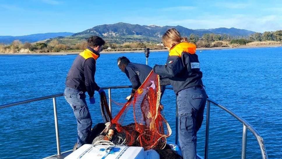 Pesca illegale del bianchetto nello Ionio: 3 quintali di novellame sequestrati dalla Guardia Costiera