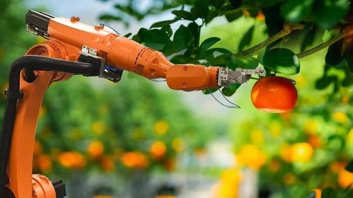 Agricoltura del futuro, confronto a Cassano: sostenibilità e mercati al centro dell’incontro di Confagricoltura