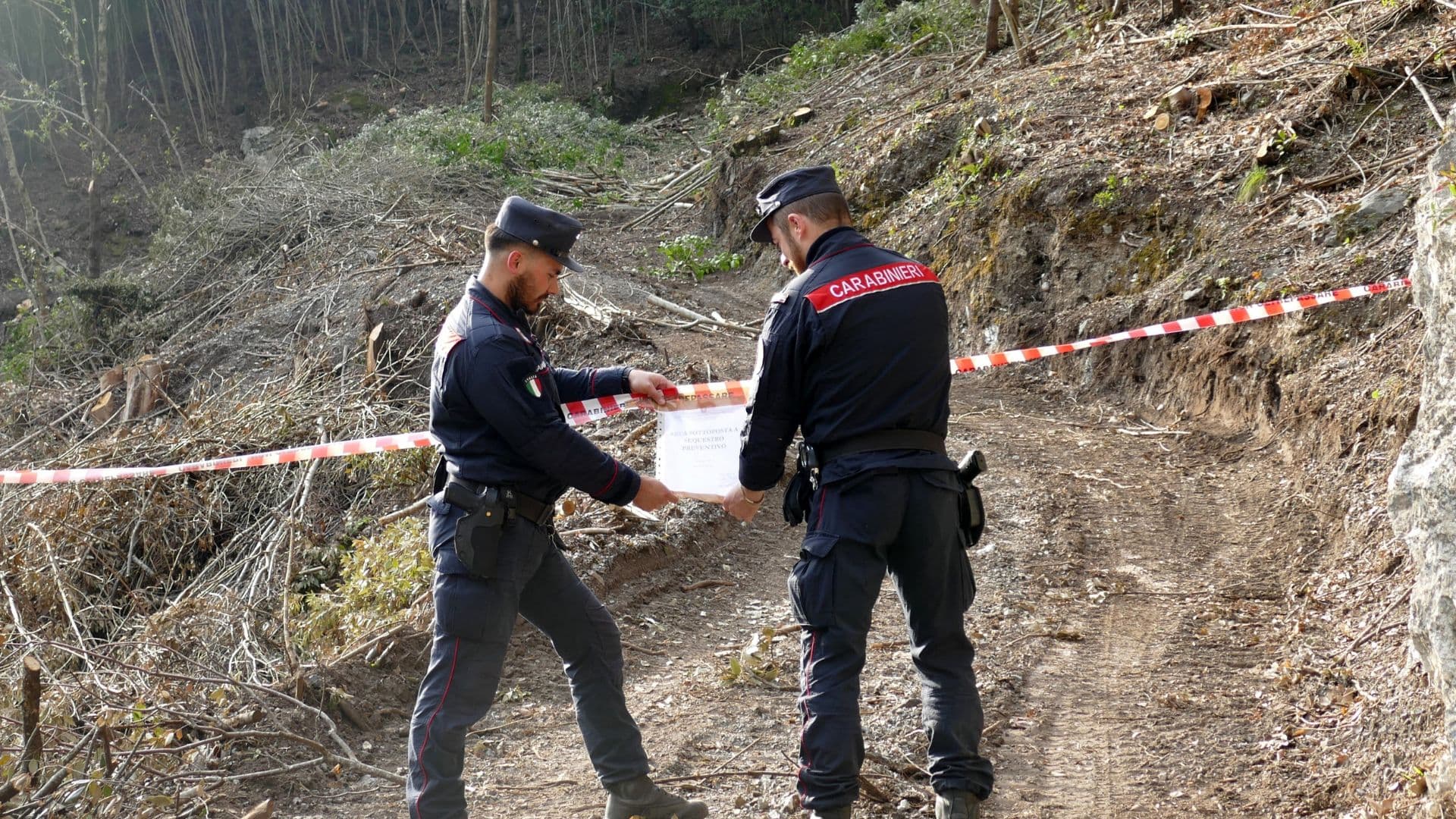 Taglio boschivo abusivo nel Parco del Pollino: tre persone denunciate e legna sequestrata