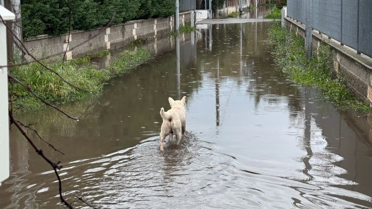 Co-Ro, periferie a rischio dopo il maltempo: richiesta una riqualificazione urbana urgente