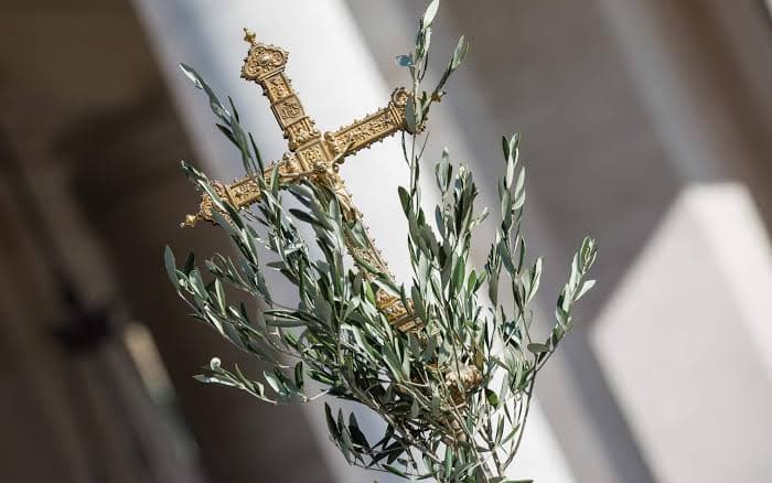 La festività delle Palme a Rossano: 1462-2026