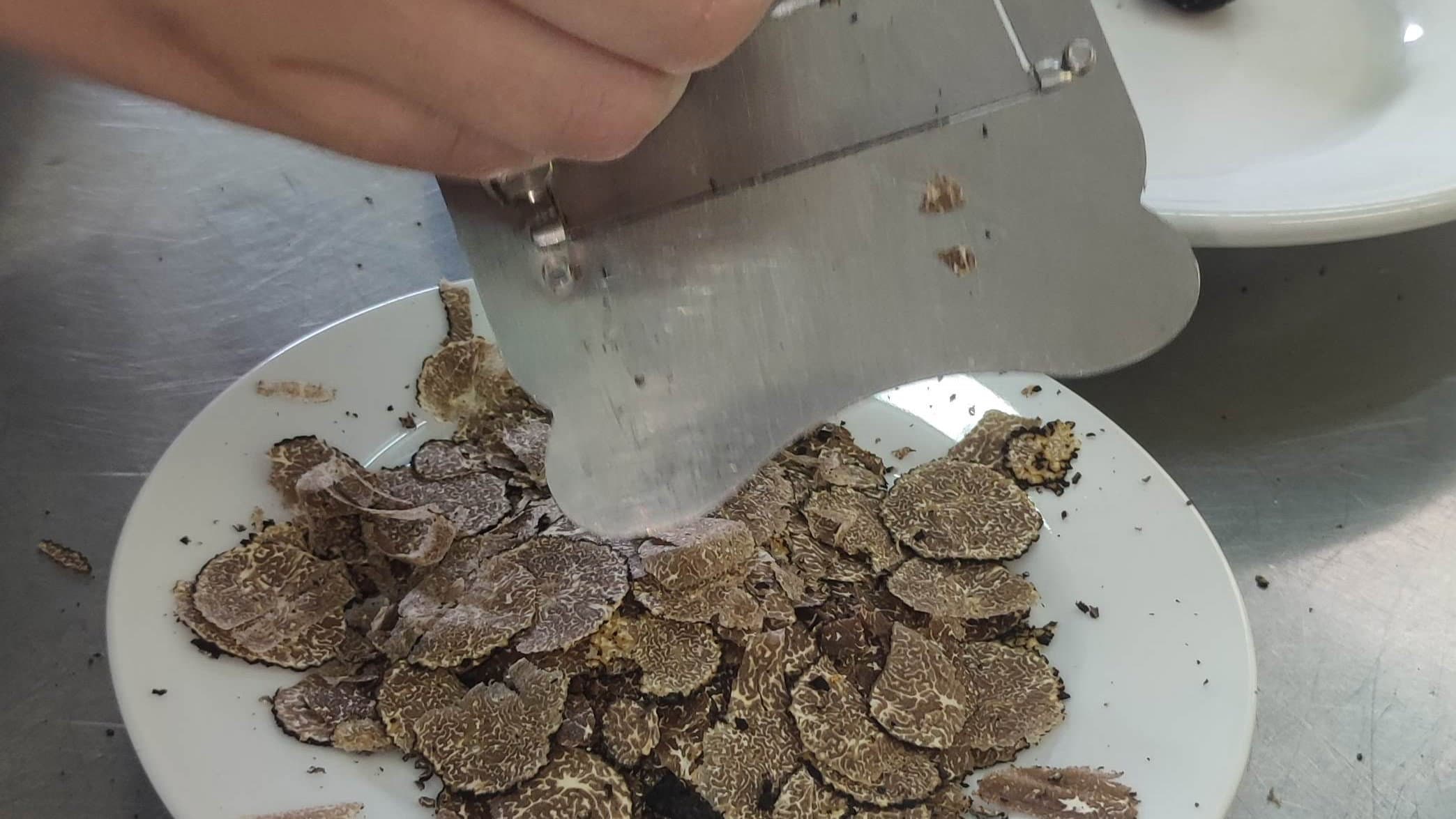 Il Majorana di Co-Ro punta sulla tartuficoltura: scuola e imprese verso una nuova economia del territorio