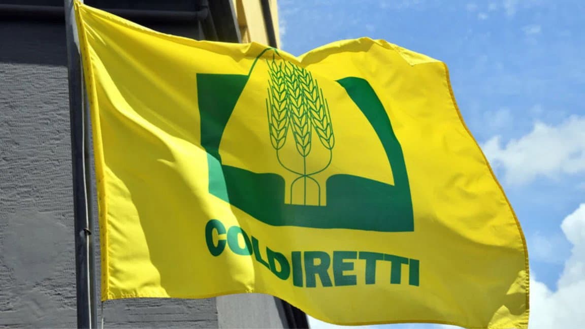 Coldiretti Calabria, agricoltura sotto attacco: «La guerra fa schizzare i costi fino a 200 euro a ettaro»