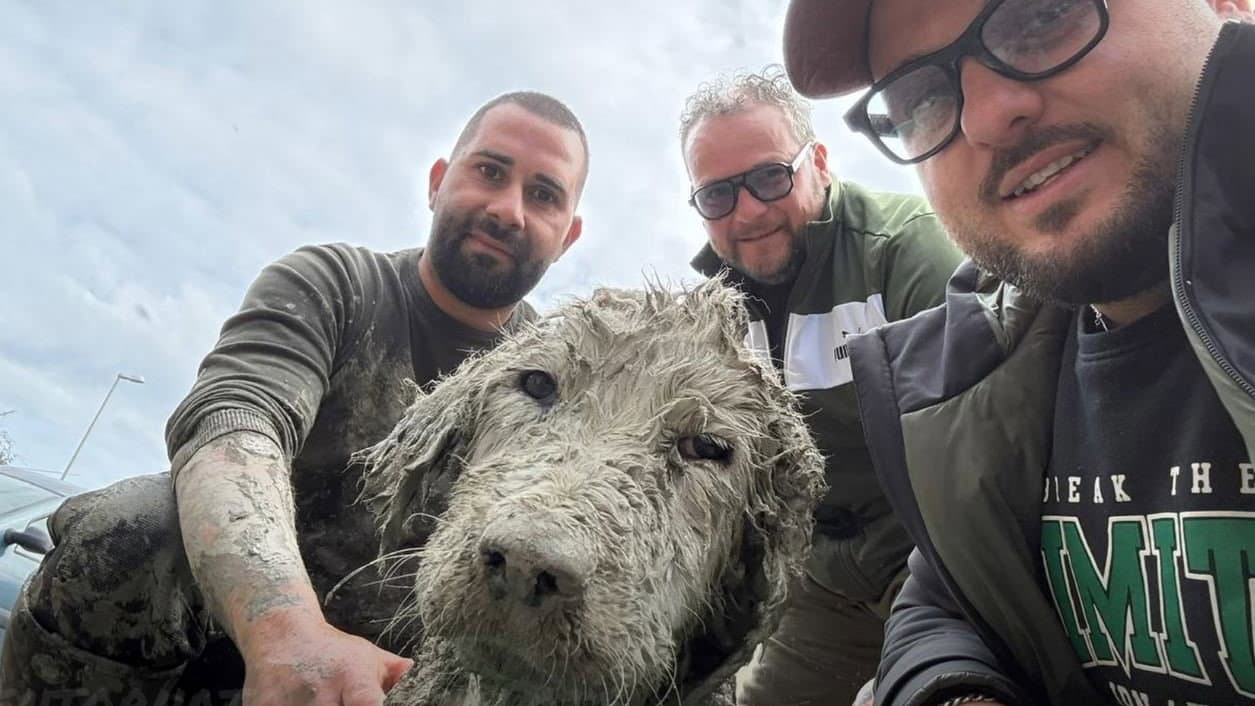 Cariati, cane disperso per 3 giorni salvato da un dirupo: ritrovato Venerdì Santo