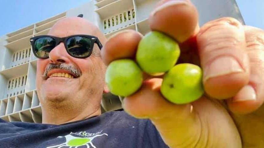 Giornata mondiale della salute, l’Olio EVO torna protagonista: “È una scelta quotidiana che incide sulla vita”