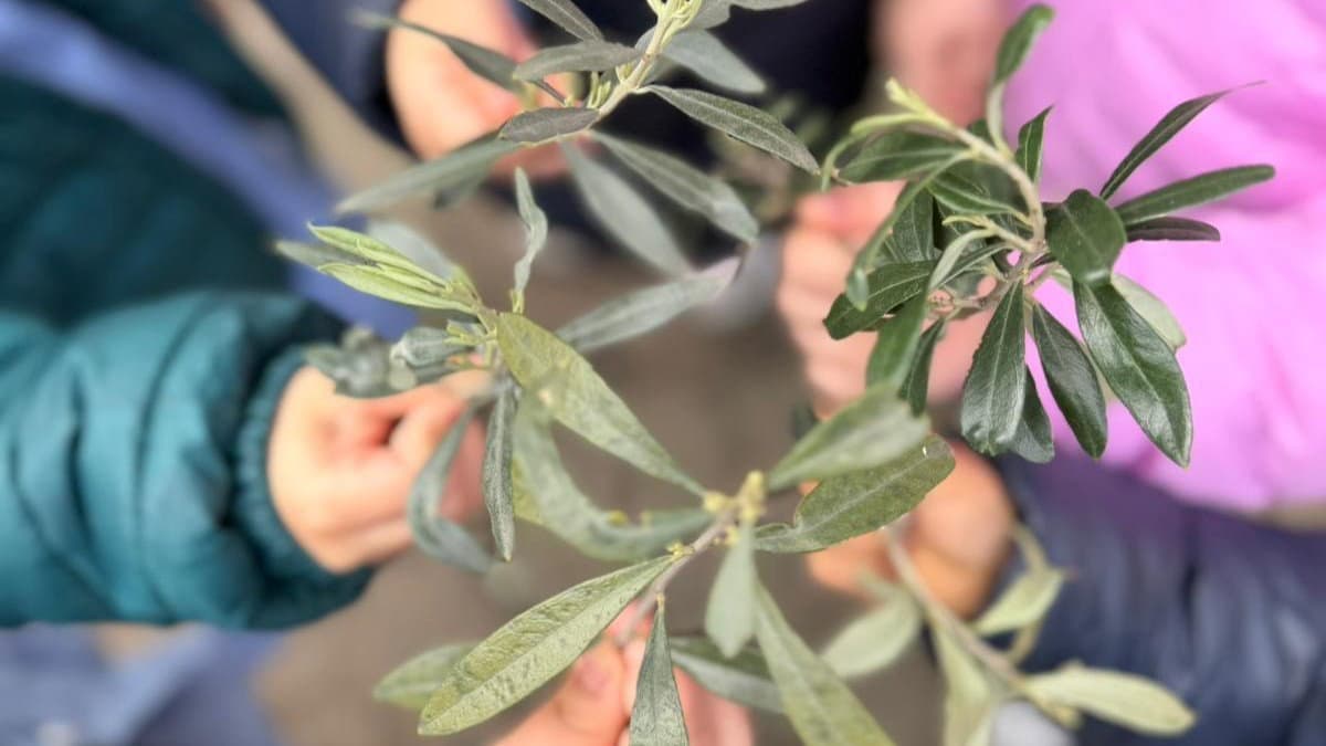 Co-Ro, bambini del Polo Magnolia celebrano le Palme con attività educative e benedizione