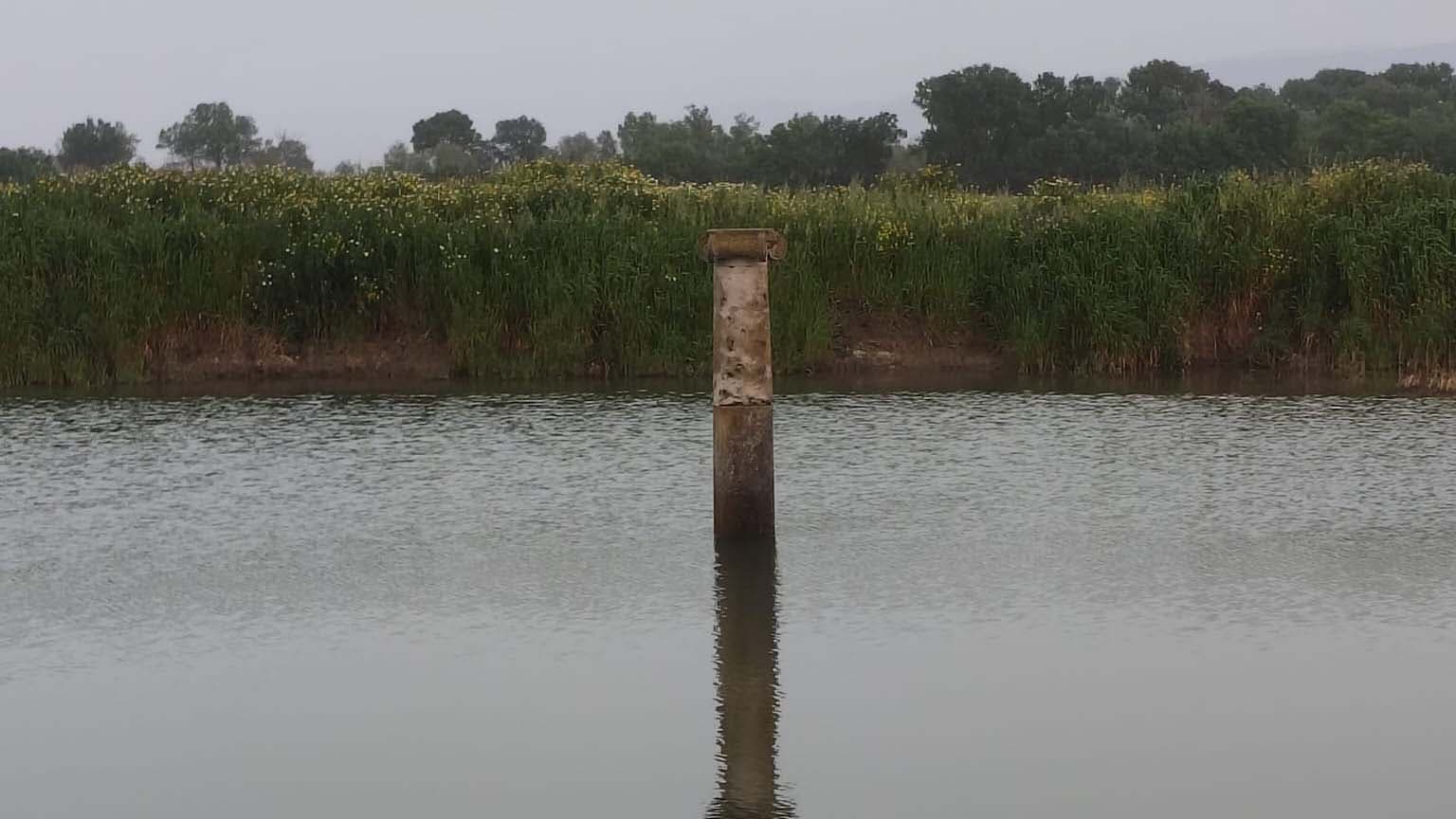 Dopo due mesi Sybaris resta ancora sott’acqua... nel silenzio assordante di tutti