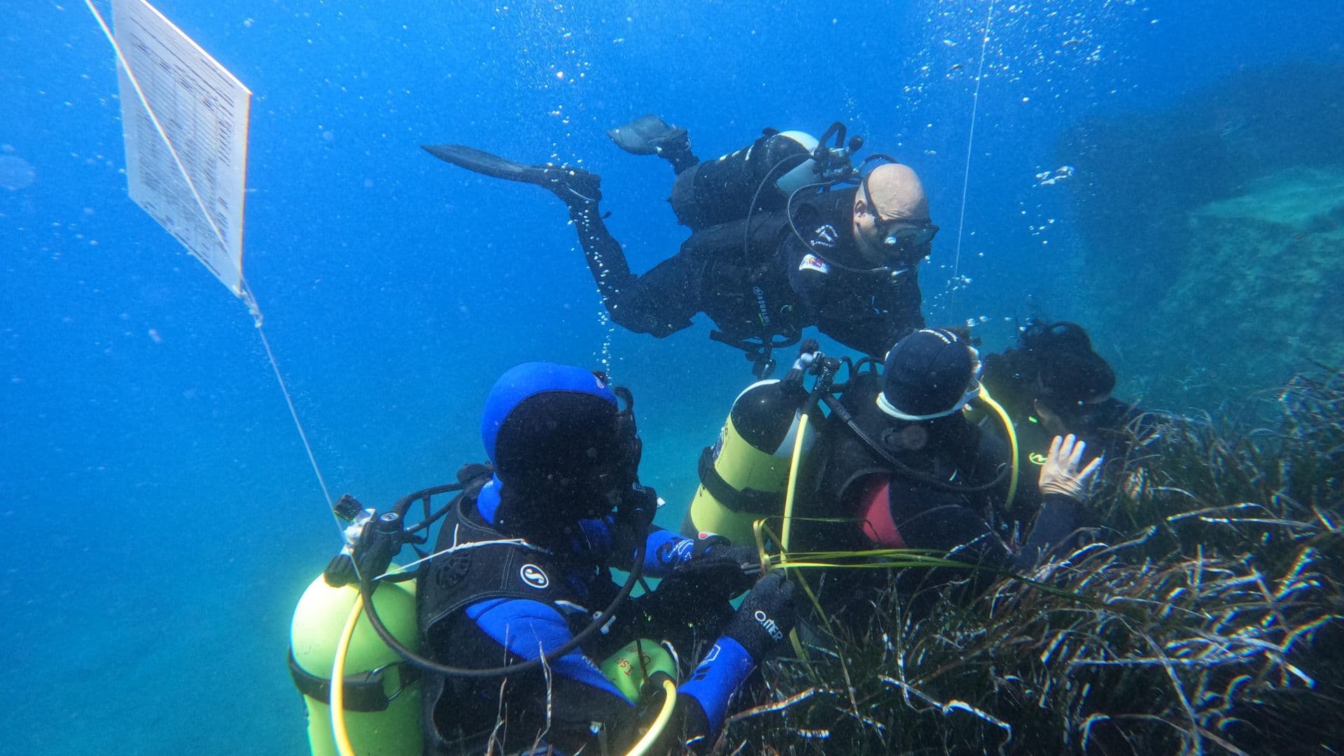 Il progetto EDIPO sui tavoli europei della Blue Economy: nuove opportunità per la tutela del mare calabrese