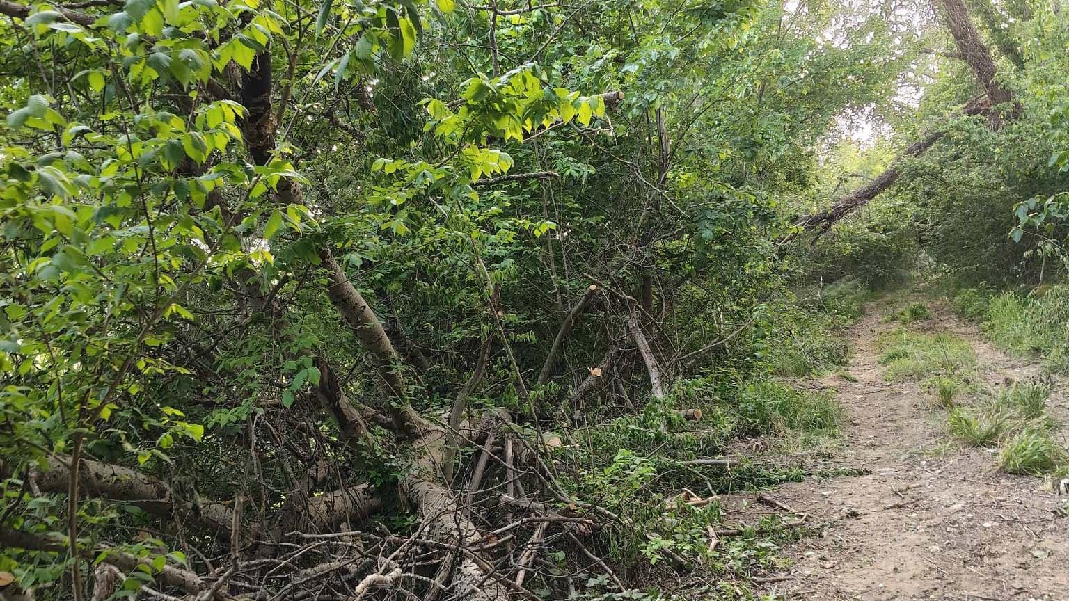 Crati, Papasso lancia l’allarme: «Argini compromessi, rischio per Lattughelle e laghi»