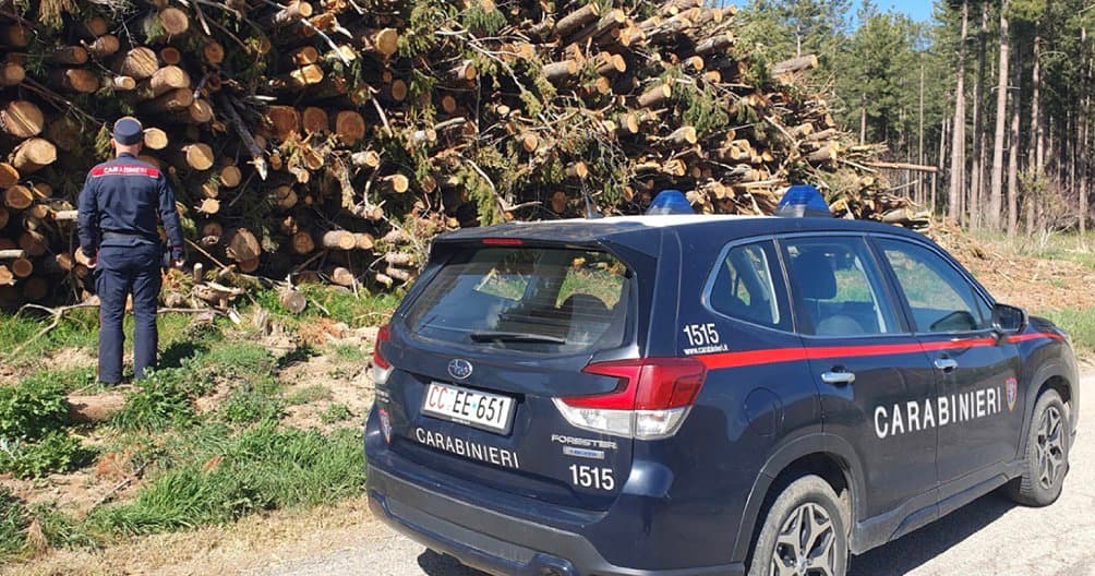 Operazione Silvae: stretta sui tagli boschivi nel Cosentino