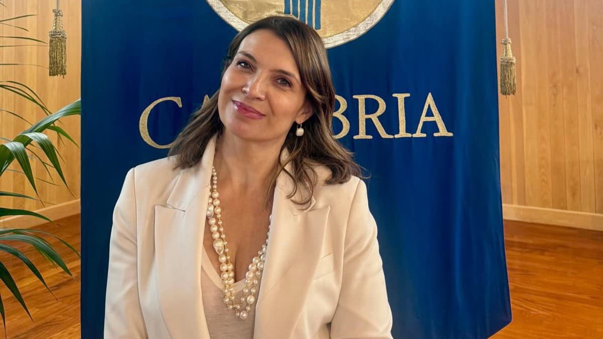 Commissariamento Sanità, Madeo (Pd): «Prima i reel, poi gli atti ufficiali. A ciascuno le sue priorità»