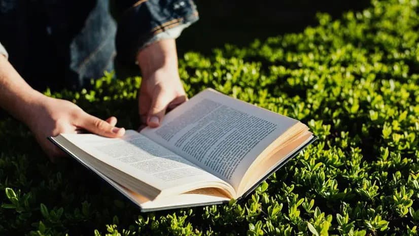 San Basile riscopre la sua storia: due passeggiate interculturali tra teatro e comunità