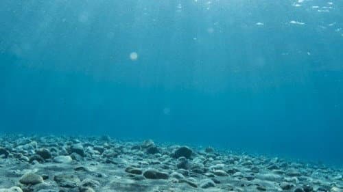 Calabria protagonista di Life TerrAmare: progetto europeo per tutelare dune e habitat costieri nei parchi marini