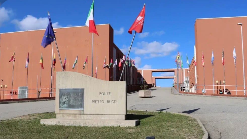 Unical attrattiva e globale, boom di richieste per l'Ateneo e vola l'internazionalizzazione