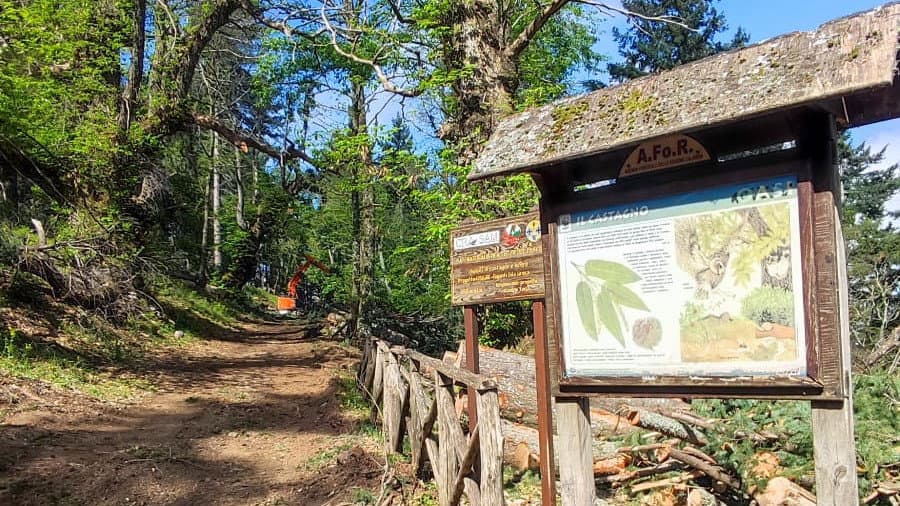 Iniziati i lavori ai Giganti di Cozzo del Pesco, il Wwf Calabria Citra Co-Ro: «Ma l'allarme non è rientrato»
