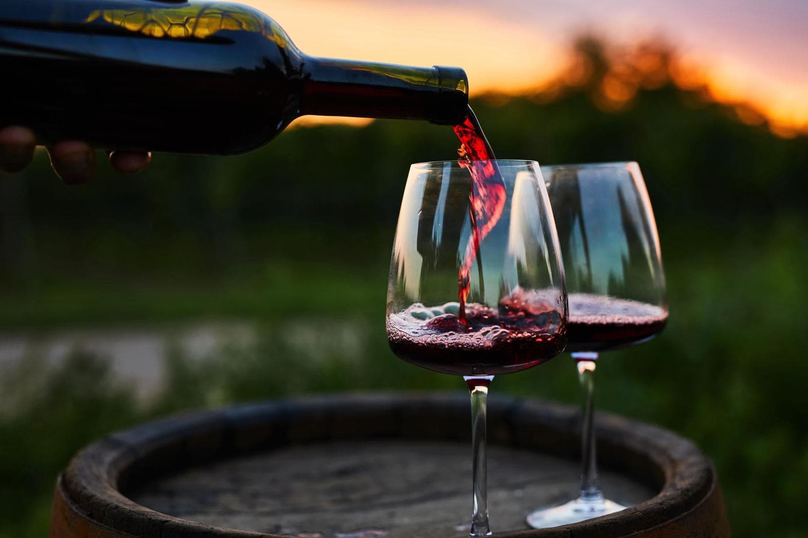 Concorso dei Vini Arbëreshë, per la 21ª edizione arriva la navetta: sicurezza e divertimento a Vaccarizzo