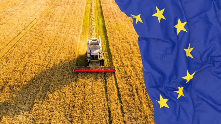 “Più forti insieme”, l’Europa racconta i suoi investimenti: dalla Sibaritide un appello a conoscere le opportunità dei fondi Ue