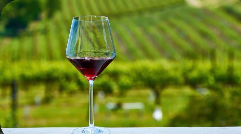 Vakarici celebra il vino arbëreshë: il concorso cresce e guarda alla qualità certificata