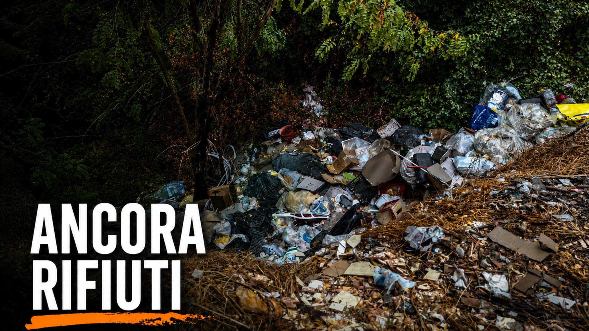 Discarica abusiva nei boschi di Co-Ro, nulla è cambiato: rifiuti ancora lì dopo mesi