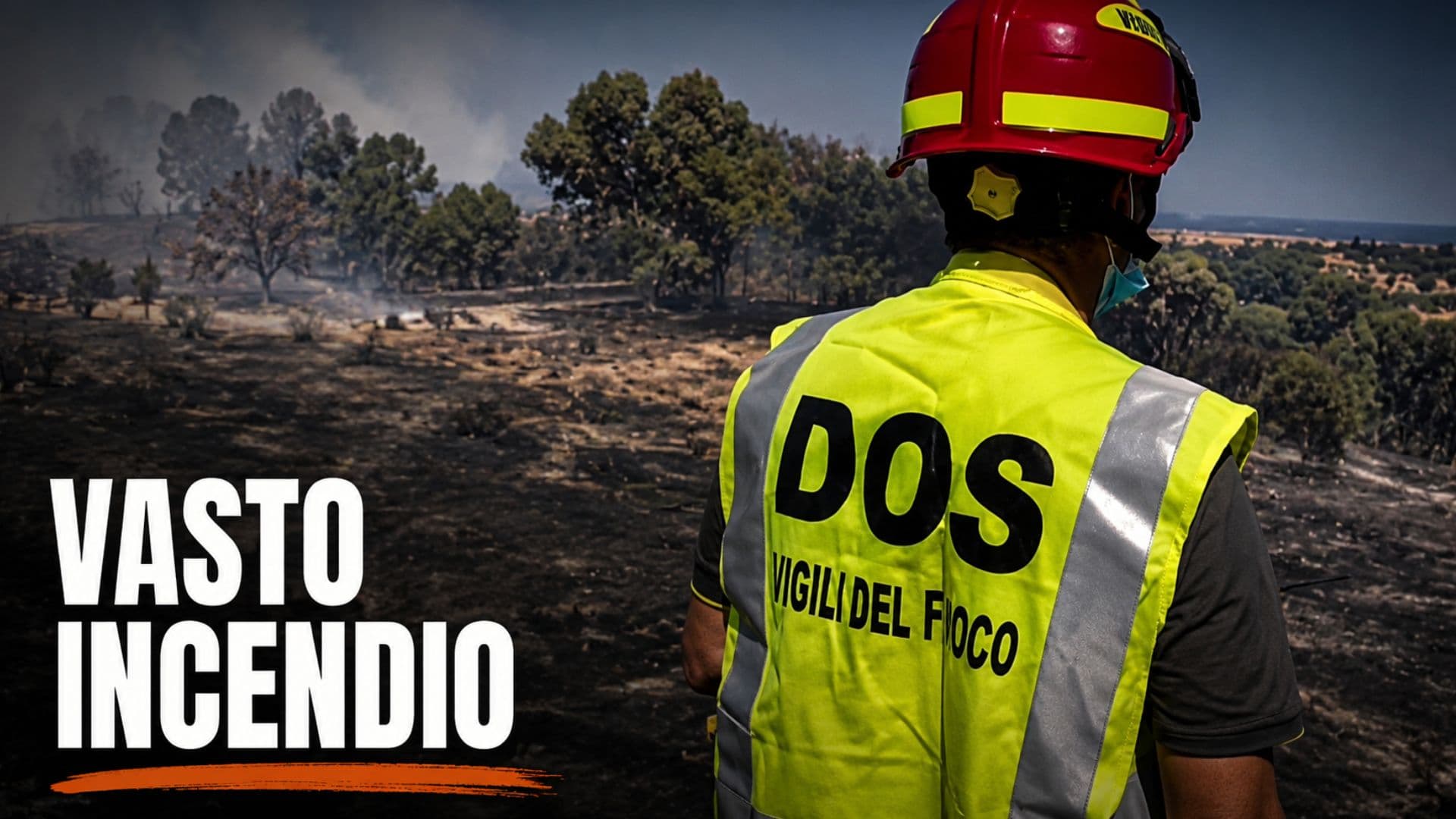 Vasto incendio a Trebisacce: in azione Vigili del Fuoco, Canadair ed elicottero regionale