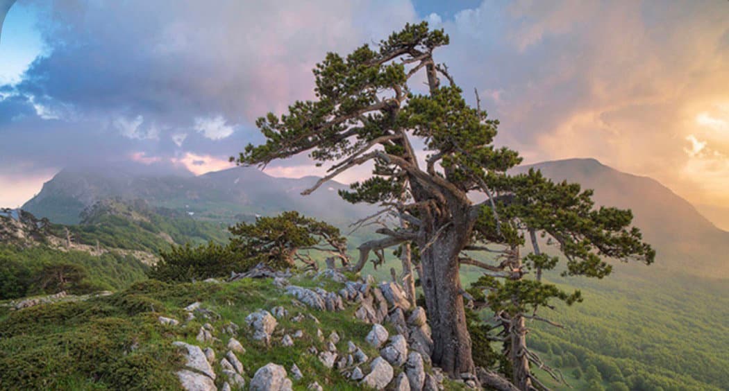 Va’ Sentiero Fest, il Pollino diventa il palcoscenico del primo festival-spedizione d’Italia