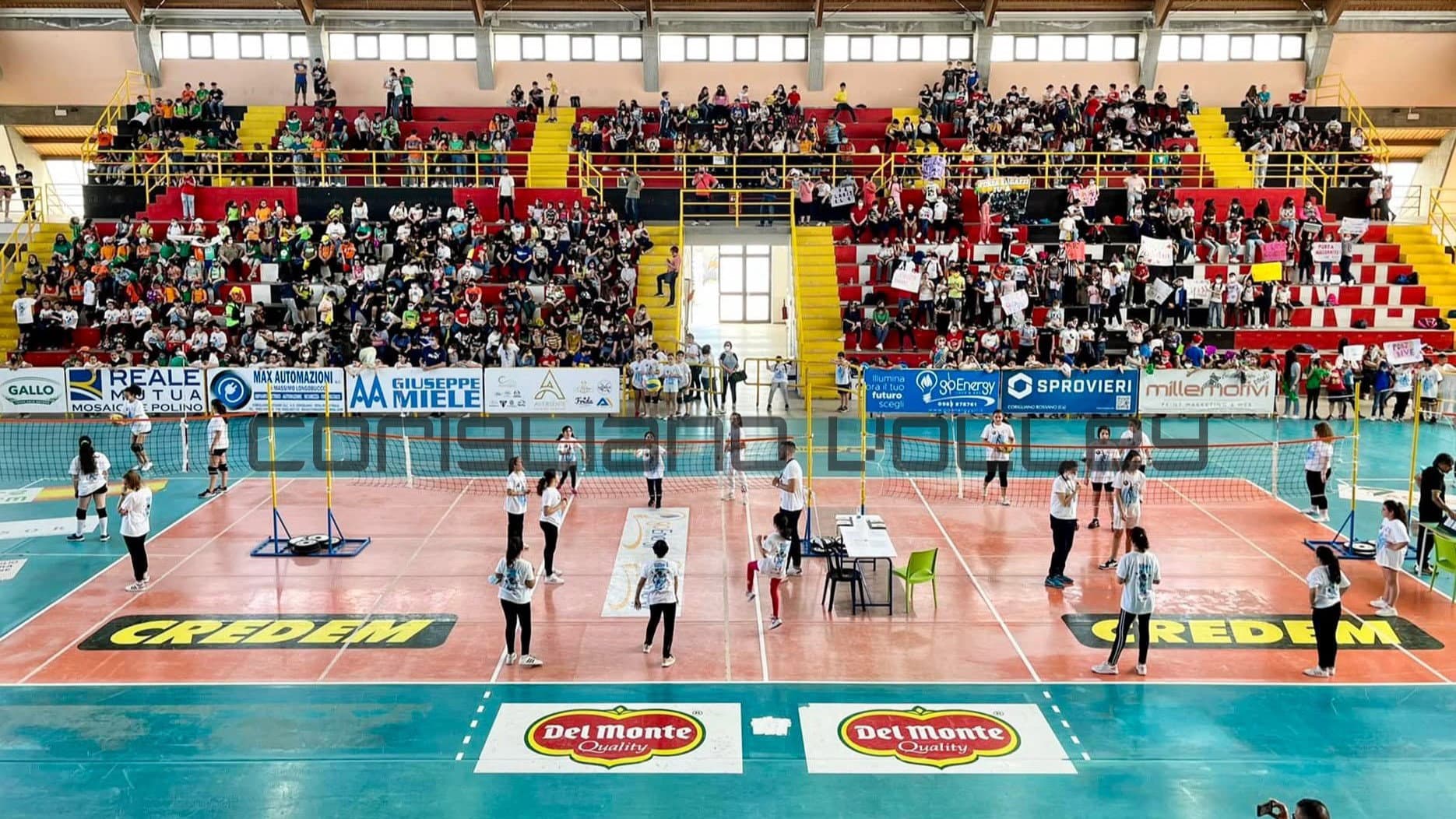 Corigliano Volley, parte la nuova stagione: il club al Volley Mercato di Bologna