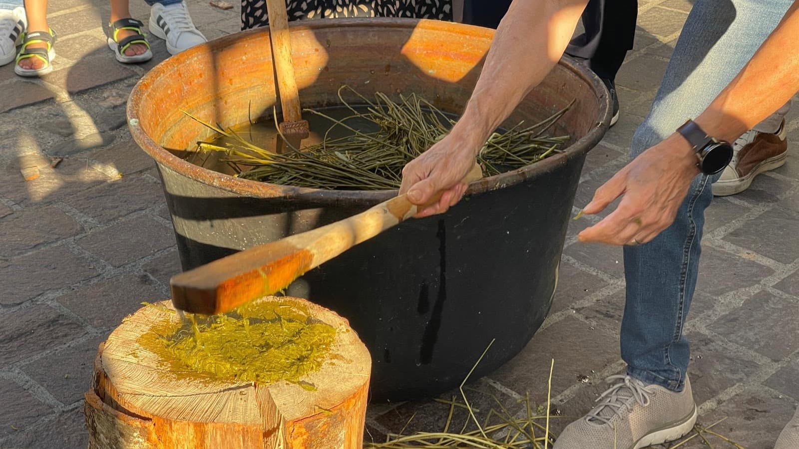 Bocchigliero riscopre l'oro giallo della Sila: grande successo per il Festival della Ginestra