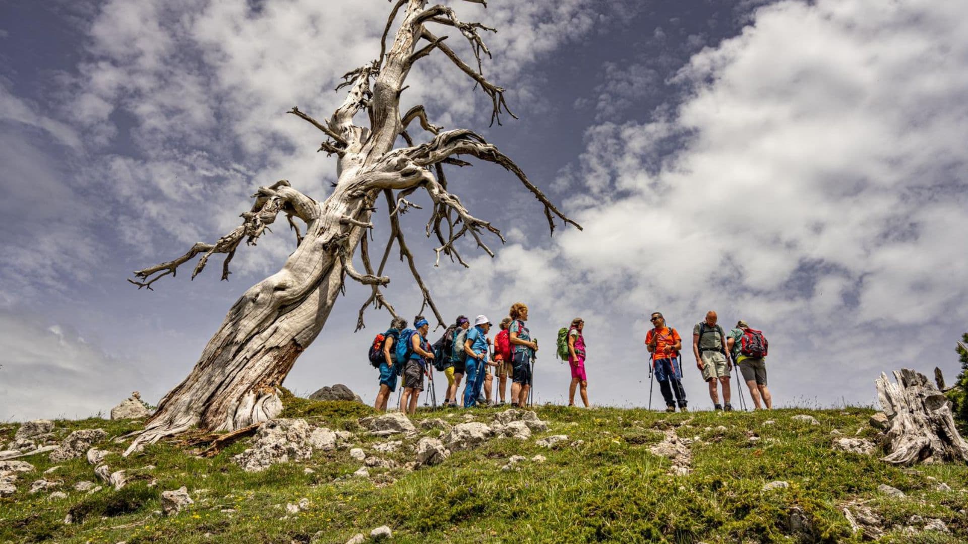 Va’ Sentiero Fest fa tappa a San Lorenzo Bellizzi: trekking, cultura e natura nel cuore del Pollino