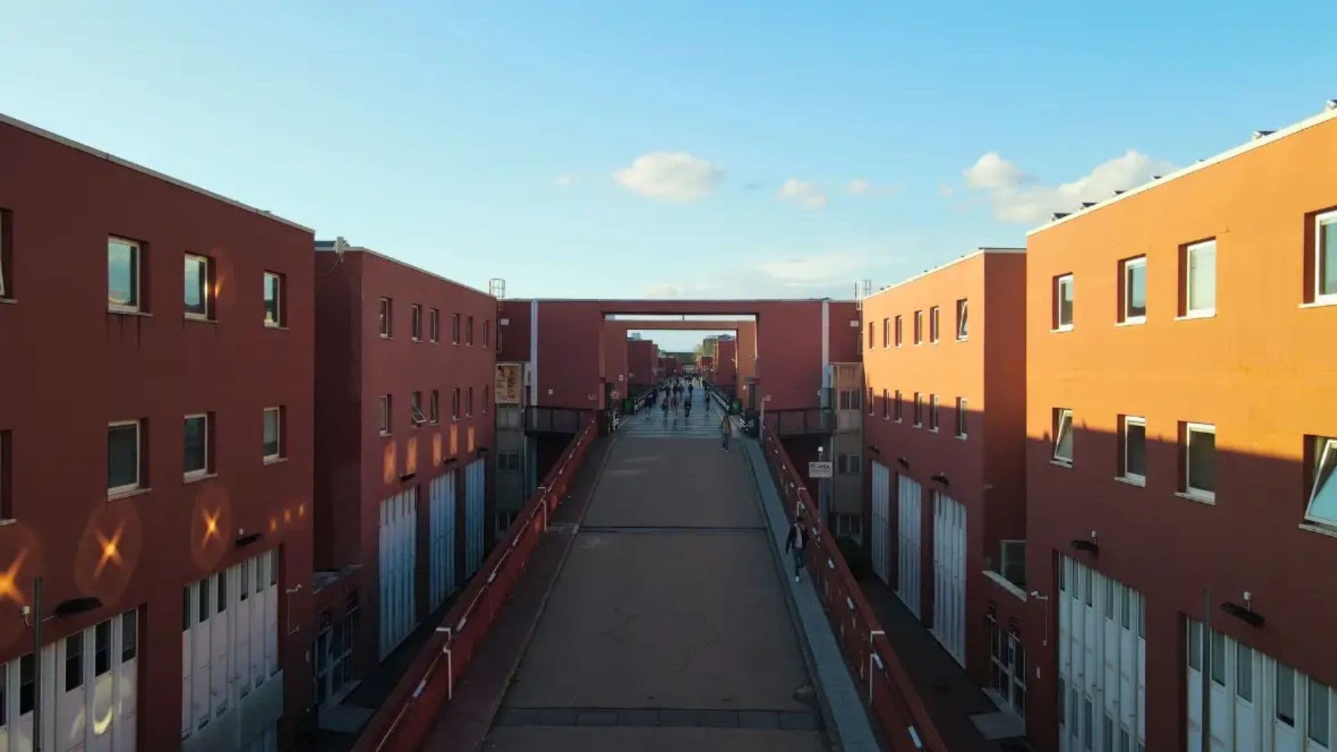 Censis, l'Unical si conferma al vertice: è ancora il primo grande ateneo d'Italia