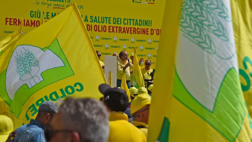 Olio, Coldiretti contro le miscelazioni: «Basta extravergine che inganna i cittadini»