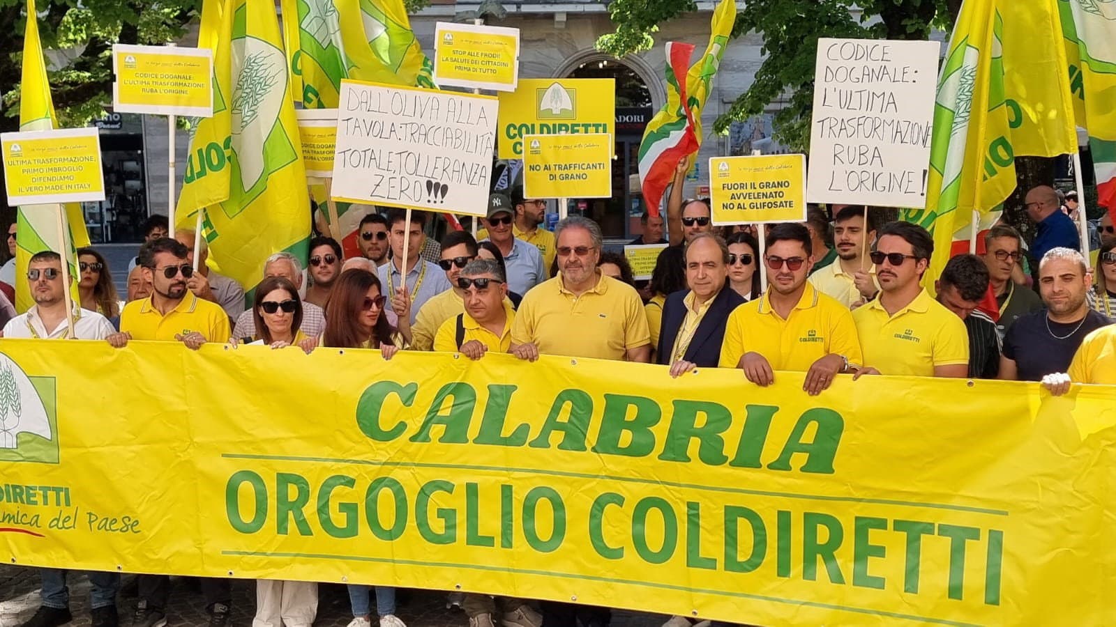 Olio extravergine, Coldiretti Calabria: «Stop alle miscele, più tutele per produttori e consumatori»