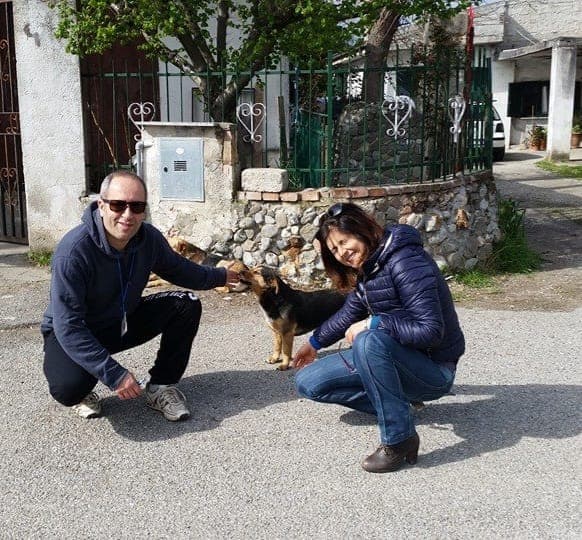 A Castrovillari parte il nuovo piano di monitoraggio del randagismo canino
