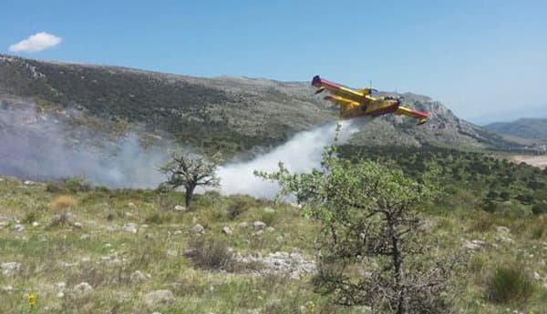 Pollino in fiamme da tre giorni, il fuoco arriva ai confini di San Basile