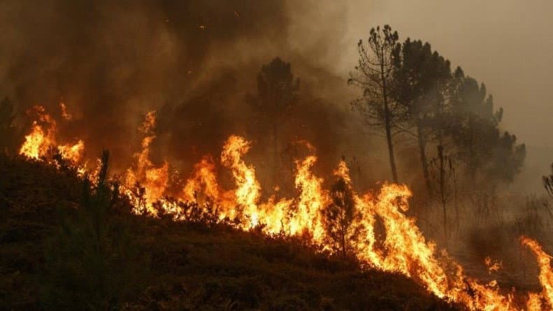 Incendi, Azione chiede ai Comuni di aggiornare il catasto delle aree percorse dal fuoco